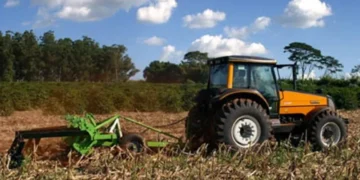 Mesmo com estiagem, Brasil teve safra recorde no ano passado