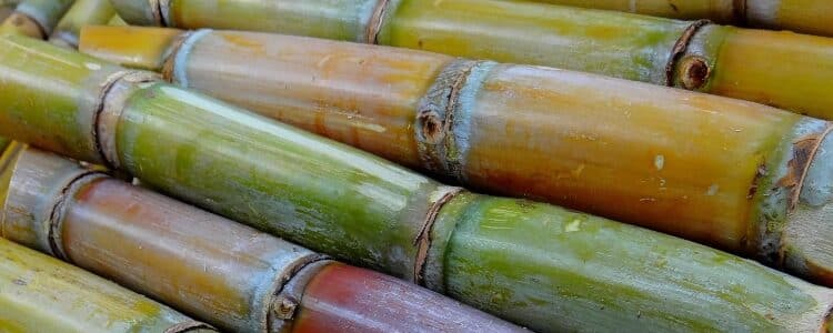 Imagem: Piqsels