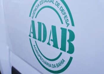 Concurso ADAB 2024: 160 vagas para Fiscalização Agropecuária com salário de até R$6.513,00!