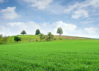 Como a superexploração e as mudanças climáticas afetam as pastagens e a economia?