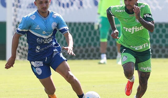 Dudu, ídolo do palmeiras, recebe proposta milionário do Cabuloso e pode estar de saída!