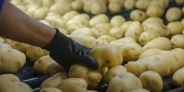 Inflação desacelera em junho, mas sobe, pressionada por alimentos