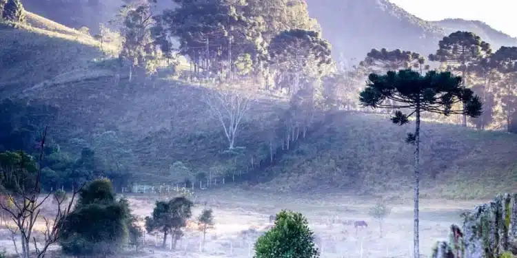 Frio intenso continua a derrubar temperaturas! Confira clima da semana