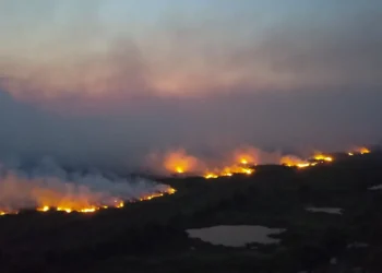 Aquecimento global ameaça vida na Terra