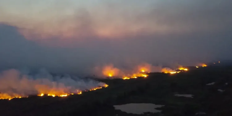 Aquecimento global ameaça vida na Terra