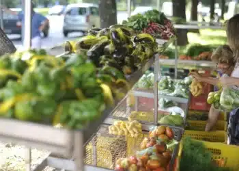 Boletim Focus: Mercado volta a elevar projeções de PIB e inflação