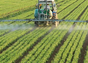 Imagem: depositphotos.com / ilfede