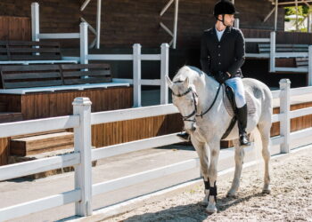 R$ 600 milhões em um cavalo? Conheça os mais caros do mundo e saiba por que eles valem tanto!