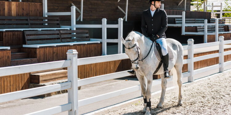 R$ 600 milhões em um cavalo? Conheça os mais caros do mundo e saiba por que eles valem tanto!