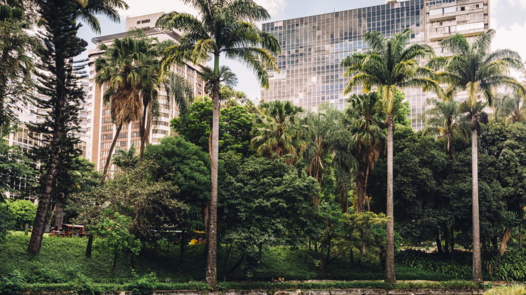 Descubra Curiosidades Fascinantes da Menor Cidade do Brasil!