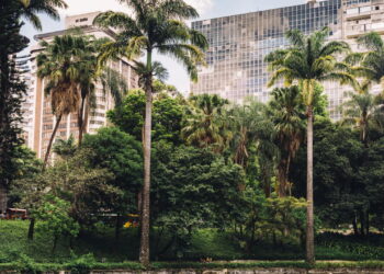 Descubra Curiosidades Fascinantes da Menor Cidade do Brasil!