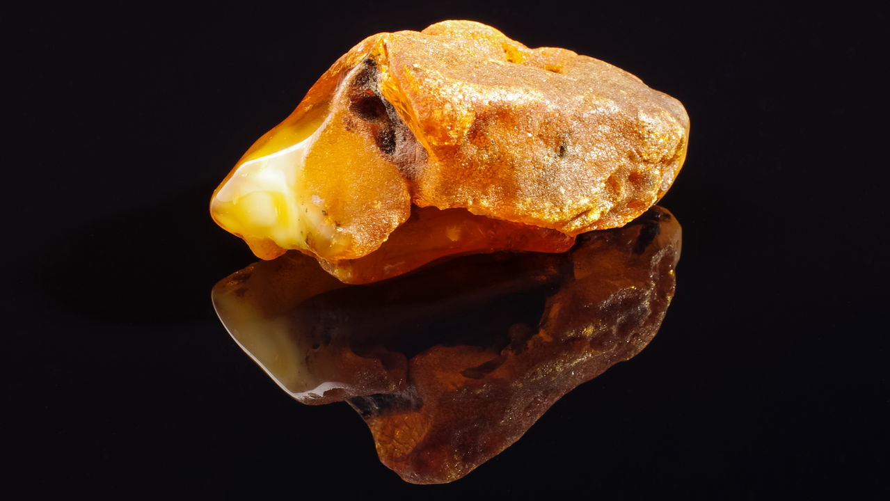 World’s largest amber lump discovered! Almost 4kg of stone as heavy as a door!