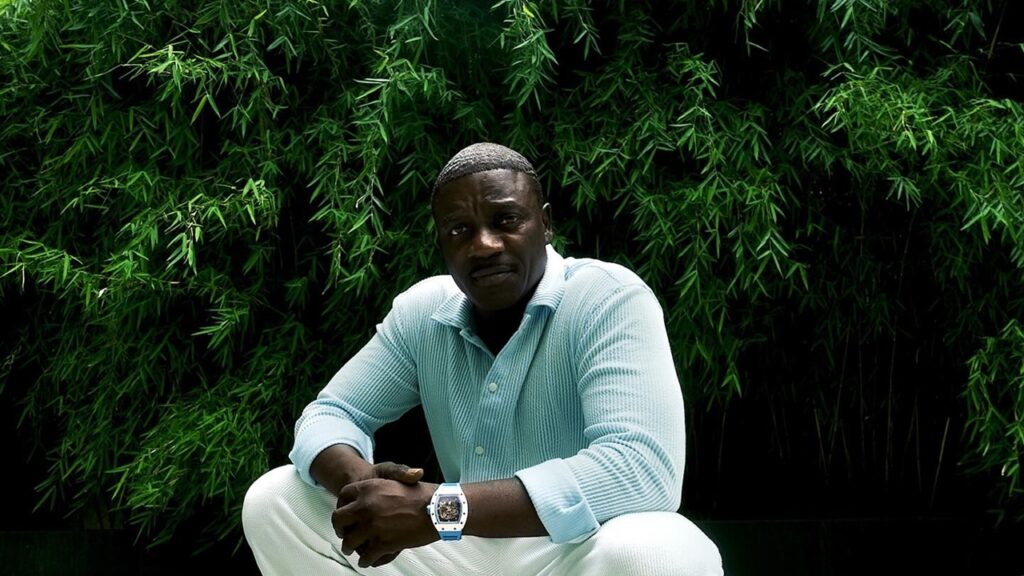 Além do Hit: O Patrimônio Multimilionário de Akon