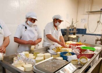 Atividade econômica de micro e pequenas empresas cresce pela 5ª vez seguida
