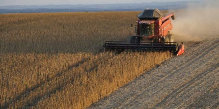 Inflação (IGP-DI) acelera 1,03% em setembro puxada por preços agrícolas