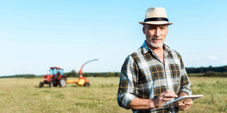 Cresce o número de falências no agronegócio devido a crises