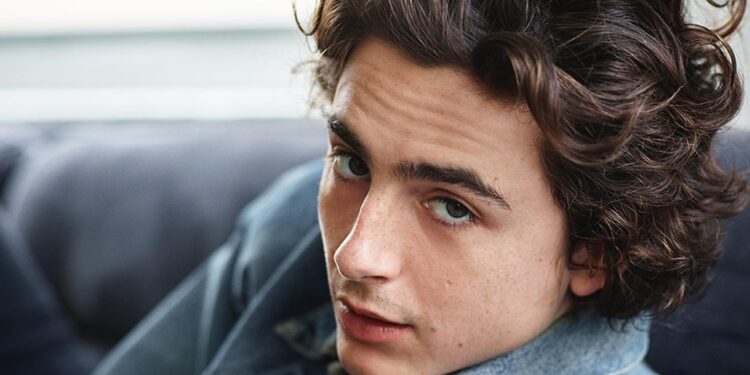 Os segredos de Timothée Chalamet, um dos maiores atores dessa geração