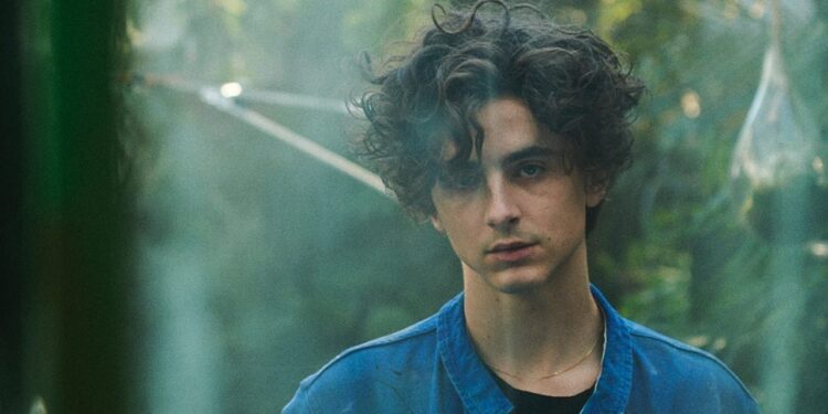 Timothée Chalamet // Reprodução: Instagram @tchalamet