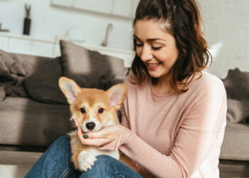 A melhor cidade com qualidade de vida para seu pet foi revelada