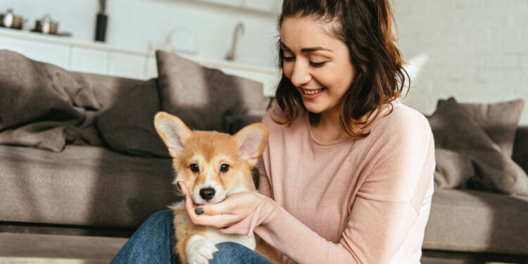 A melhor cidade com qualidade de vida para seu pet foi revelada