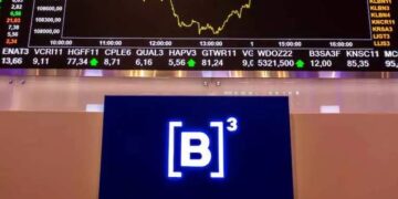 Somente 25 ações Small Caps estão positivas em 2024; Confira a lista