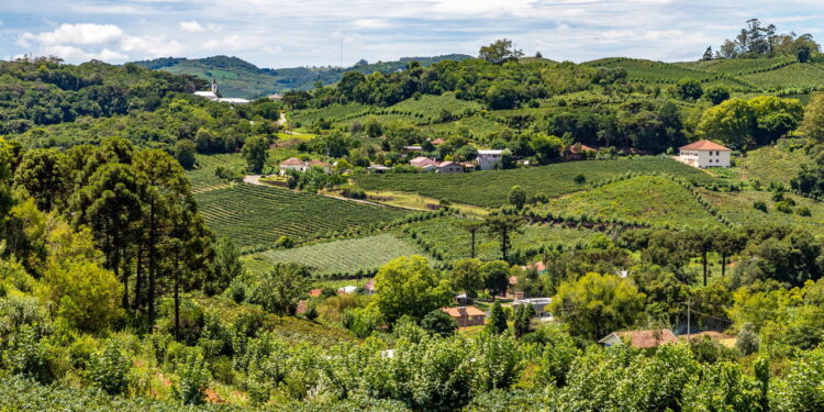 Bento Gonçalves: Uma Imersão nos Vinhos e Paisagens da Serra Gaúcha