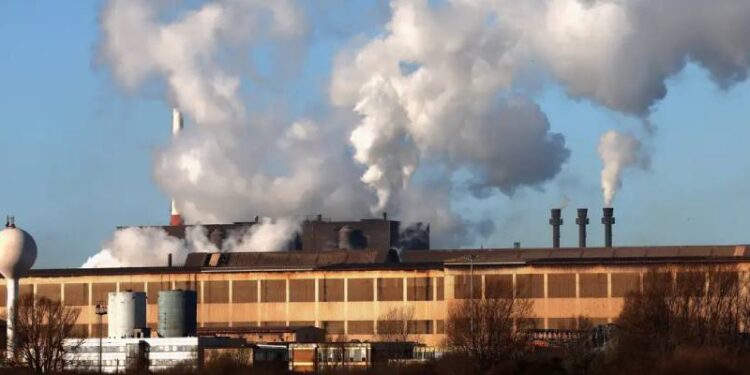 Mercado de carbono brasileiro se fortalece com nova regulamentação