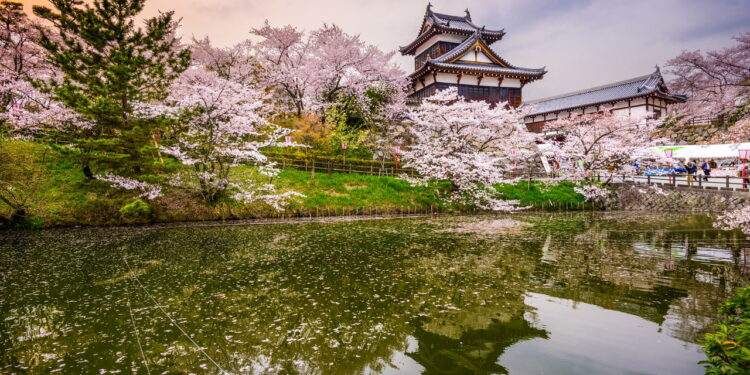 Brasileiros estão animados para explorar Nara com passagens ida e volta!