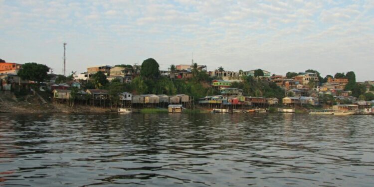 Tefé, Amazônia // Wikipédia