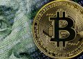 Blockchain e criptomoedas estão mudando tudo e ninguém te avisou