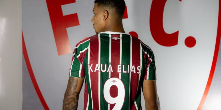 Fluminense tem menos de três semanas para encontrar volante e atacante