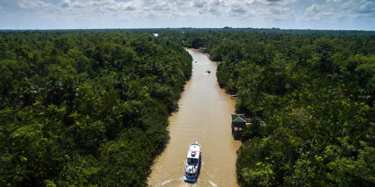 A maior floresta tropical do mundo está recebendo brasileiros com passagens aéreas ida e volta!