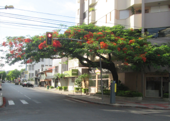 Cidade no interior de Santa Catarina impressiona com sua qualidade de vida