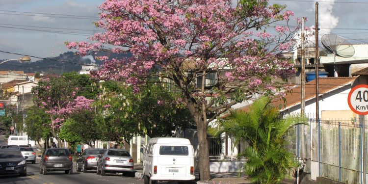 Cidade no interior do Rio encanta com qualidade de vida e natureza vibrante