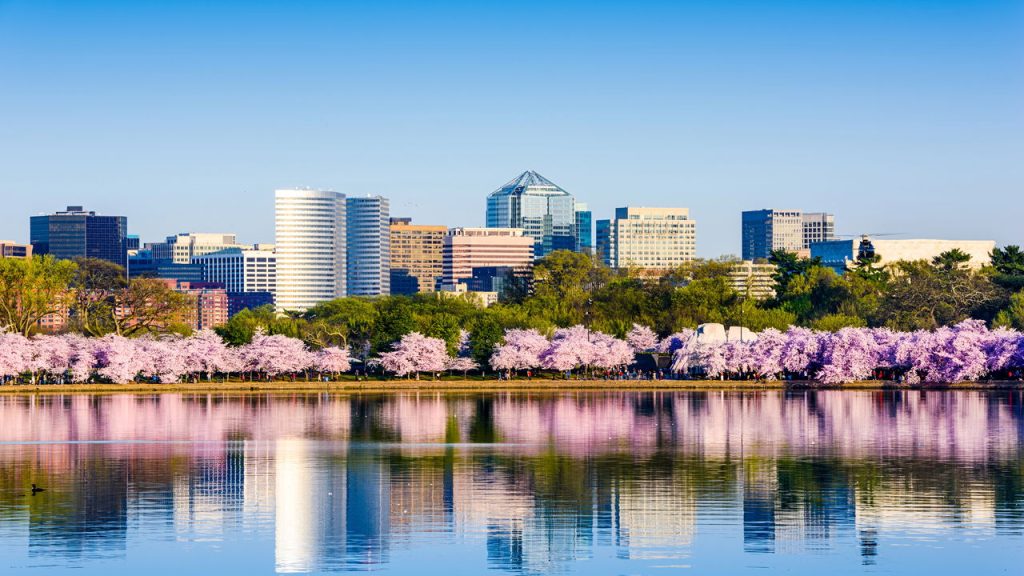 Essa é a cidade mais importante dos Estados Unidos