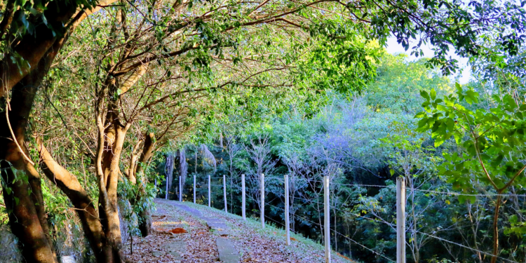 Essa cidade no coração de São Paulo é considerada uma das melhores do Brasil