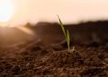 Serasa mostra novos dados importantes sobre o agronegócio no Brasil