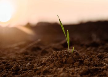 Serasa mostra novos dados importantes sobre o agronegócio no Brasil