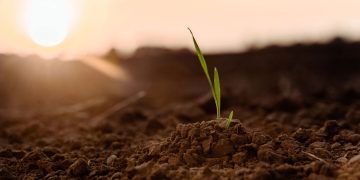 Serasa mostra novos dados importantes sobre o agronegócio no Brasil