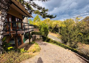 Imagem: Divulgação