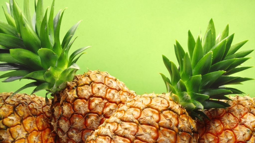 Abacaxi no quintal é o novo xodó dos amantes da jardinagem