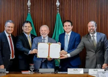 MP do setor elétrico: Gratuidade na conta de luz custará R$ 3,6 bilhões por ano