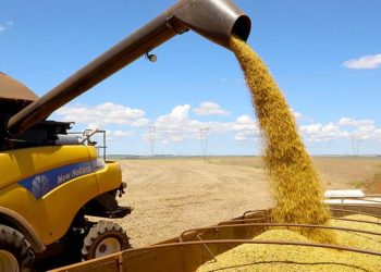 PIB brasileiro cresce 1,4% no 1º trimestre puxado pelo agro