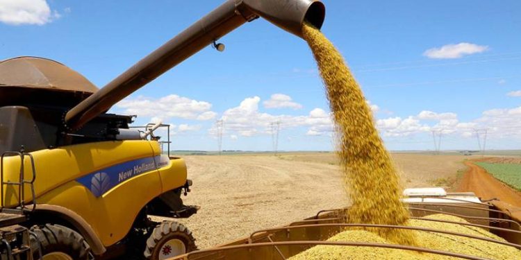 PIB brasileiro cresce 1,4% no 1º trimestre puxado pelo agro