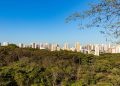 Quem tem mais de 43 anos está arrumando as malas para morar nessa cidade do interior de SP