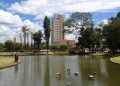 Essa cidade goiana está se transformando na nova queridinha dos brasileiros
