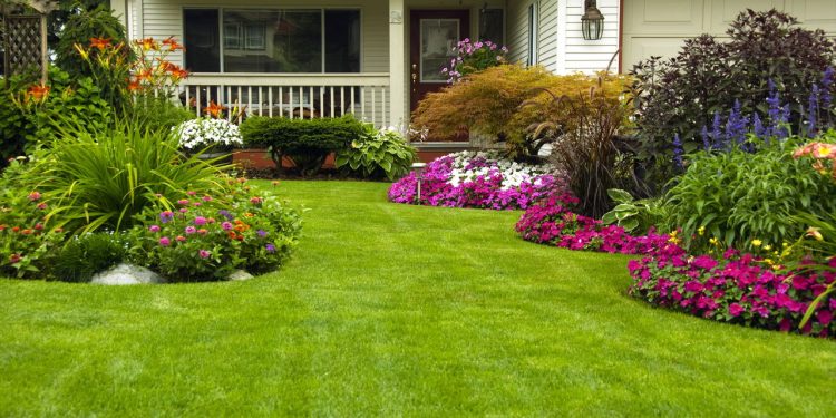 As piores combinações de plantas no jardim, segundo especialistas