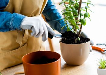 Suportes de plantas suspensas criativos por menos de 25 reais