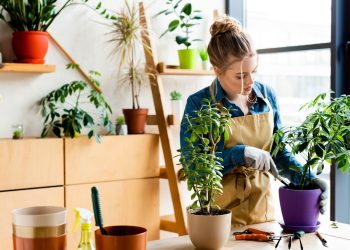 Horta vertical com reciclagem gera comida fresca e R$ 0 de custo