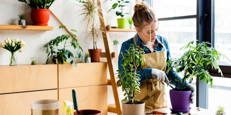 Horta vertical com reciclagem gera comida fresca e R$ 0 de custo